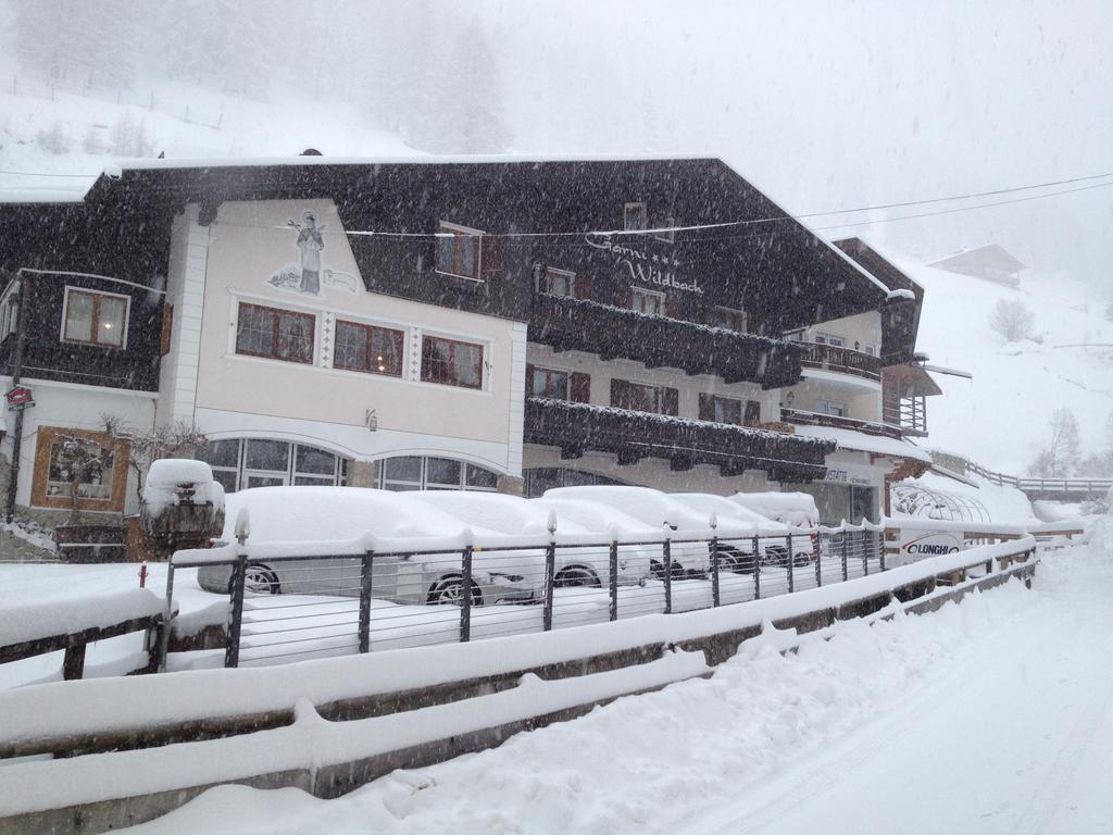 Garni Hotel&apartments Wildbach 3* Wolkenstein in Gröden